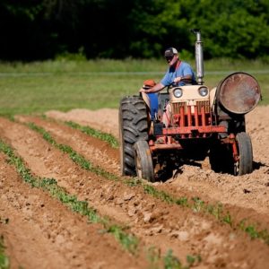 man-riding-red-tractor-on-field-2252618